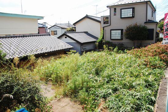 Local land photo. Local (August 2012) shooting