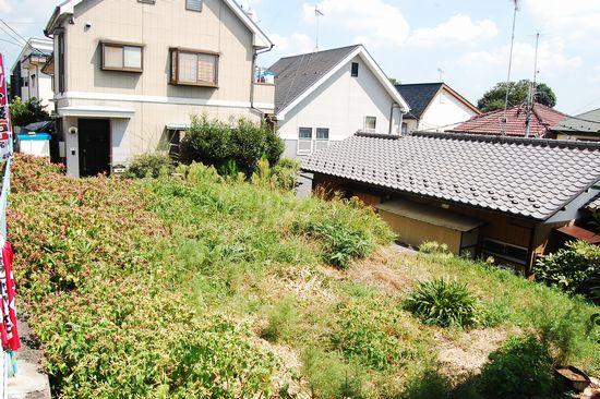 Local land photo. Local (August 2012) shooting