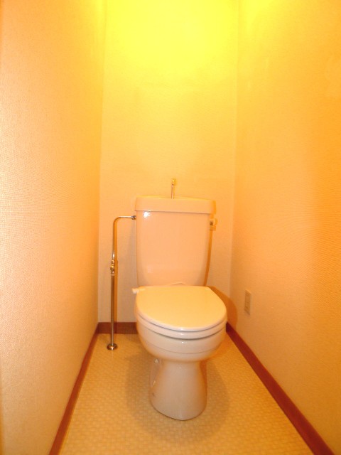 Toilet. Renovation completed