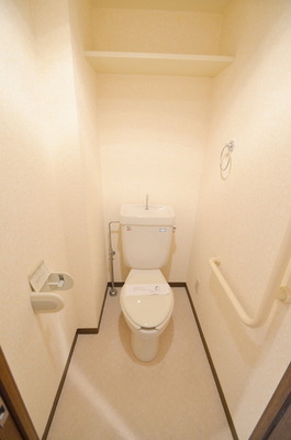 Toilet. Inverted type