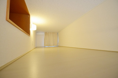 Other Equipment. With loft