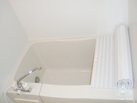 Bath. Lid of the bath does not have! !