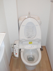 Toilet. With washing heating toilet seat