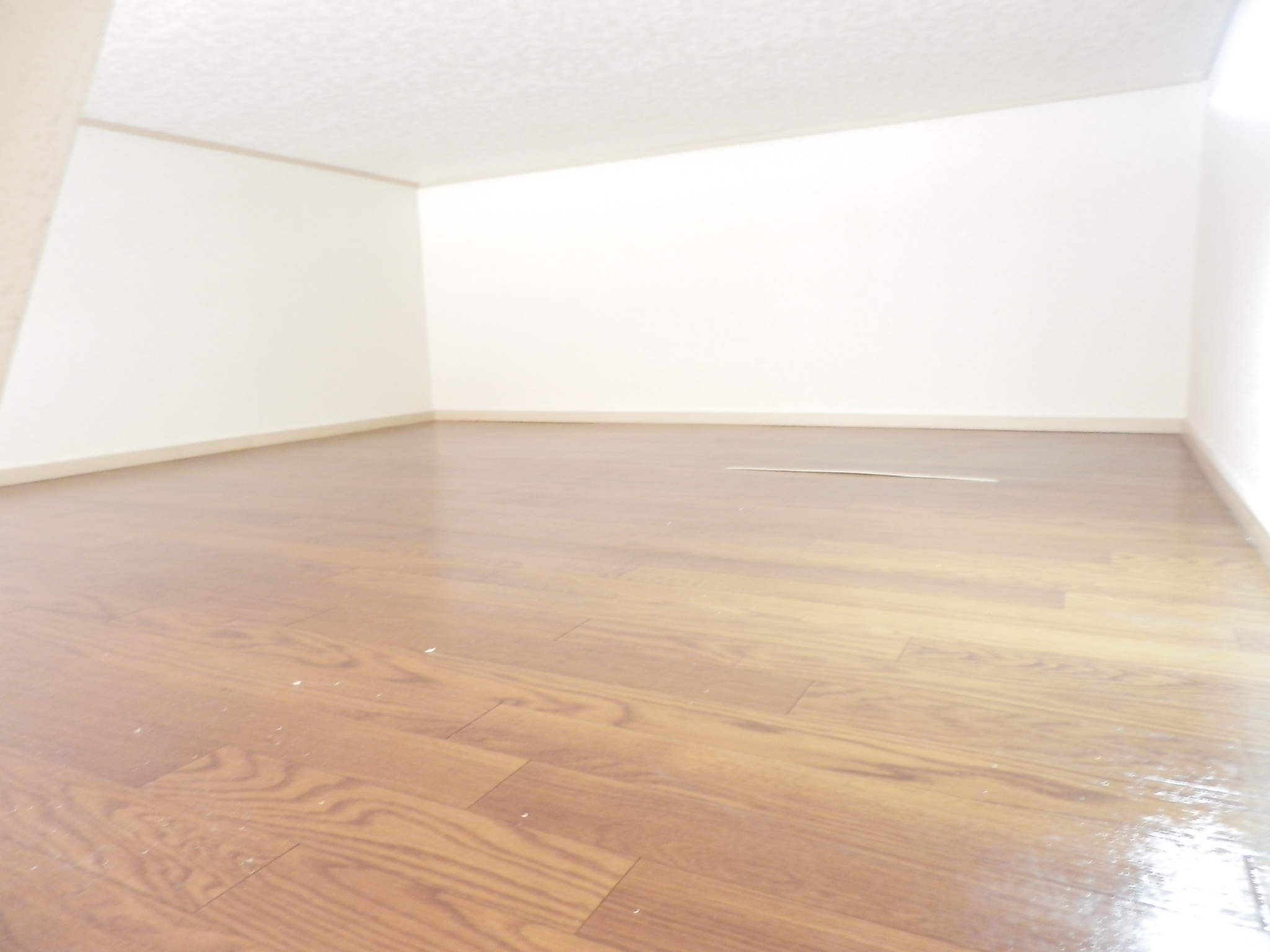 Other room space. Storage space is wide in the loft. 