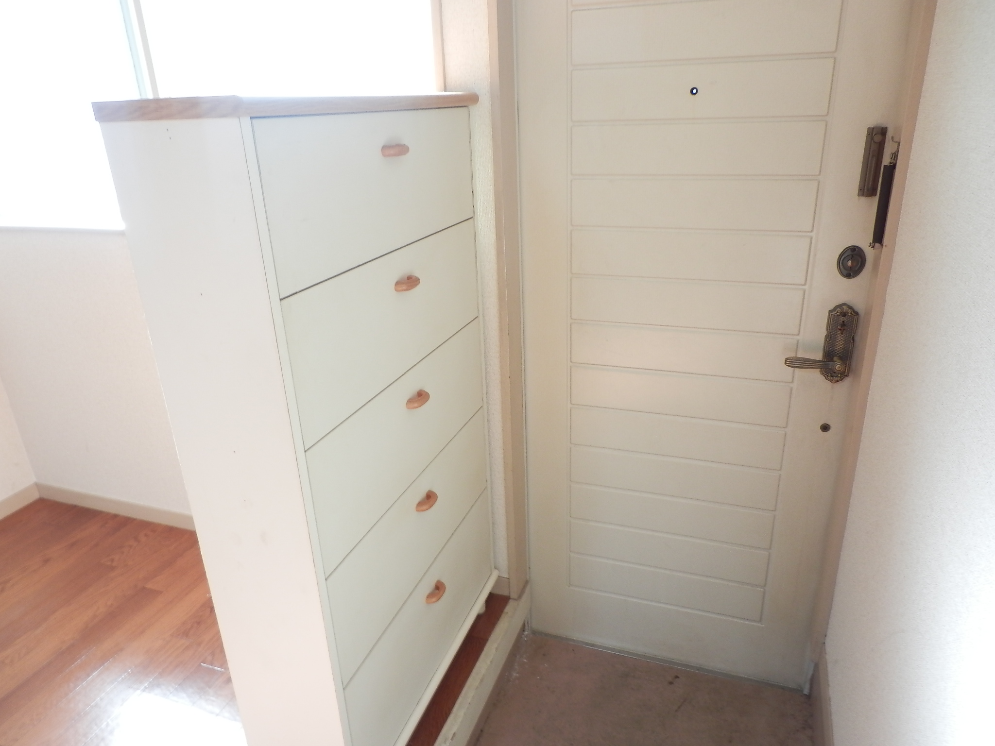 Entrance. There are shoes BOX. 