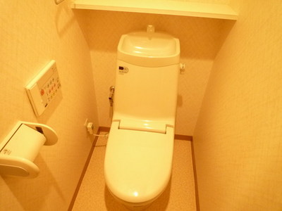 Toilet