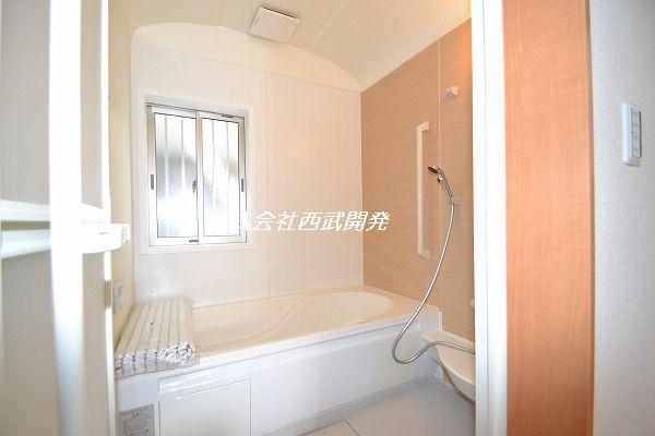 Bathroom. Indoor (10 May 2013) Shooting