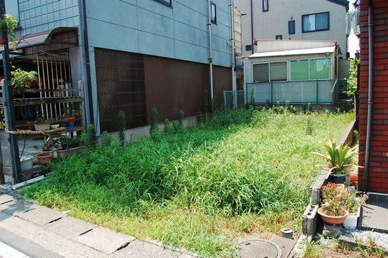 Local land photo. Local (July 2012) shooting