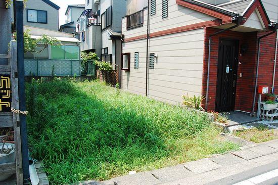 Local land photo. Local (July 2012) shooting