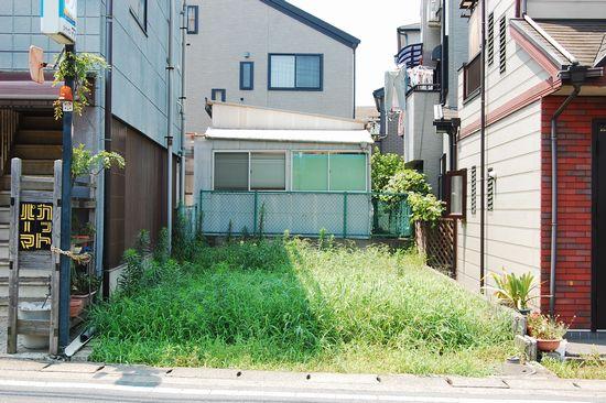 Local land photo. Local (July 2012) shooting