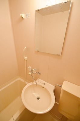 Washroom. In a sense Shampoo dresser