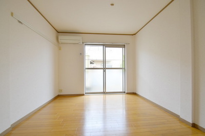 Living and room. Ah, bright!