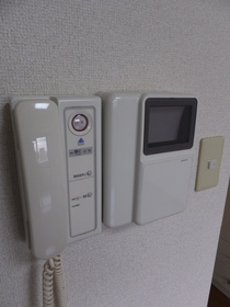 Other Equipment. It comes with a TV monitor phone.