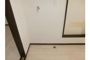 Washroom. Other Room No.  Washing machine storage room