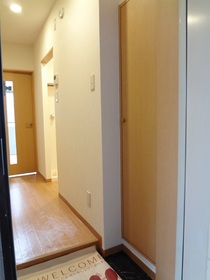 Entrance. Entrance storage enhancement.