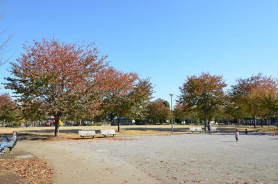 park. 400m to the park (park)