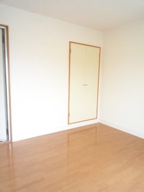 Living and room. Bright rooms. 