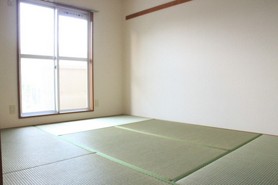 Living and room. Room 2