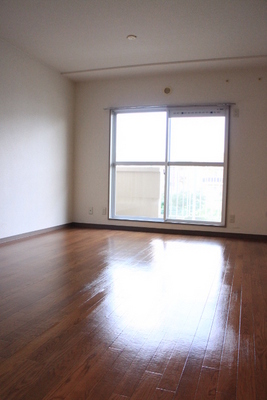 Living and room. Room 1