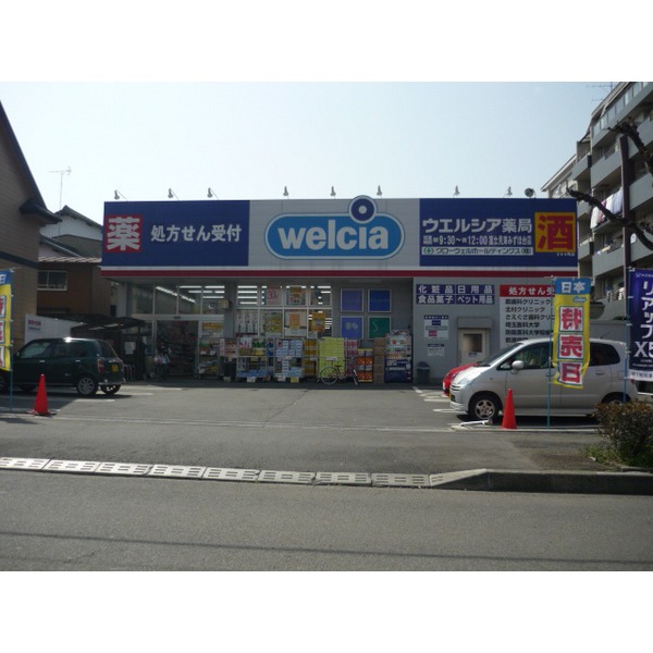 Dorakkusutoa. Drag Seimusu Higashimizuhodai shop 343m until (drugstore)