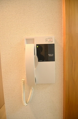 Security. TV Intercom