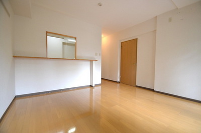 Other room space. LDK