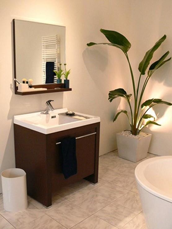 Wash basin, toilet. Slowly to a busy time of the morning With a shower so that can get dressed We offer vanity.