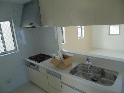 Kitchen. Indoor (11 May 2013) shooting kitchen (dishwasher) with 5 Building