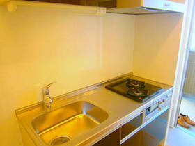 Kitchen. In two-burner stove with grill, Fun cooking