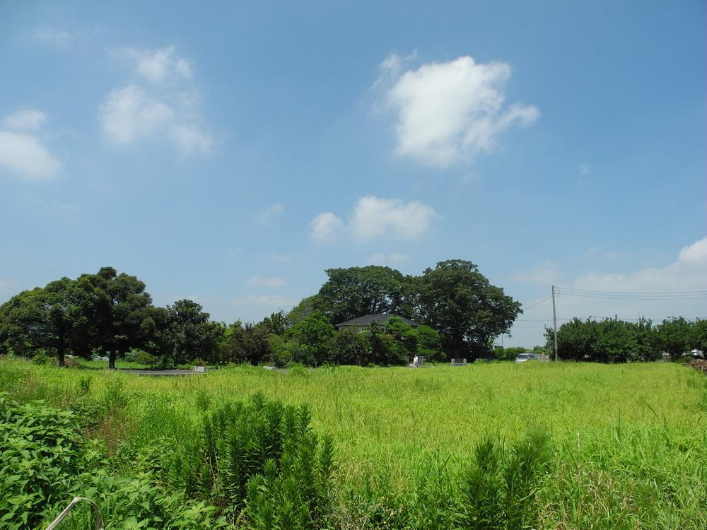 Local land photo. Local (July 2013) Shooting