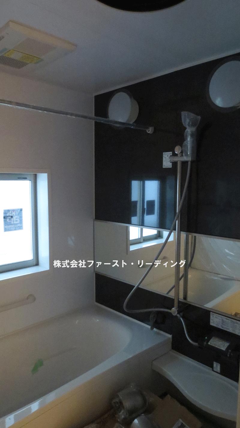 Bathroom. In the woodwork (11 May 2013) Shooting