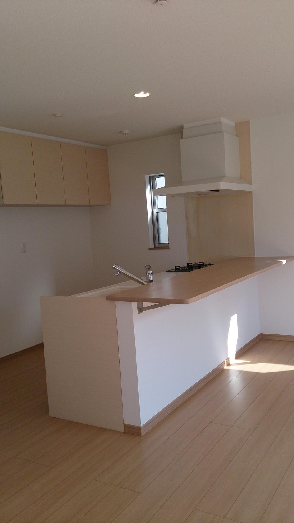 Living. Indoor (10 May 2013) Shooting