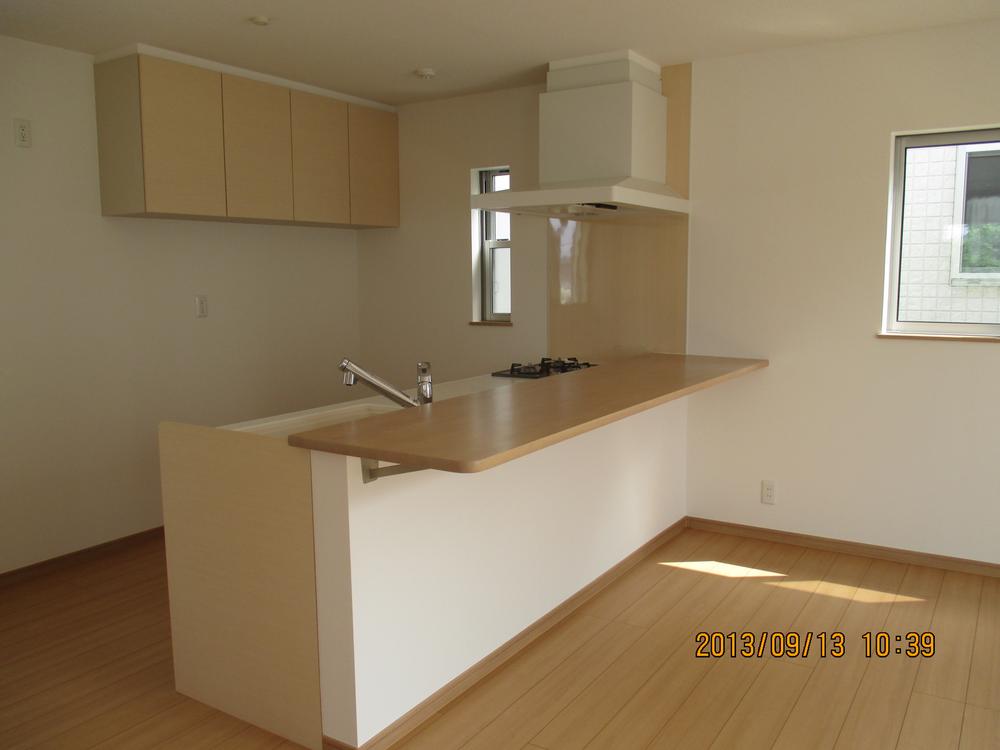 Kitchen. Indoor (10 May 2013) Shooting