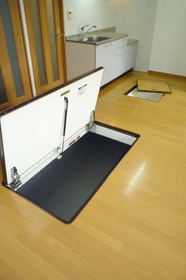 Living and room. Underfloor storage of large capacity