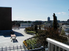 Other. Rooftop garden