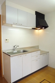 Kitchen. Beautiful kitchen