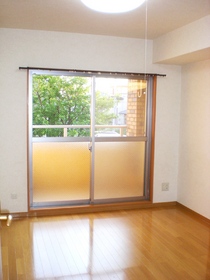 Living and room. Western style room