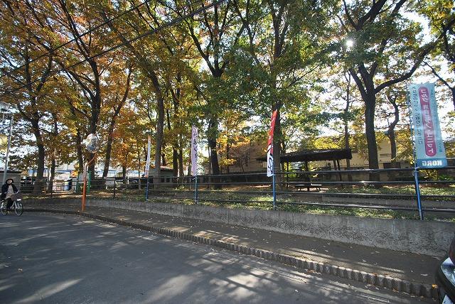 Other. Surrounding environment