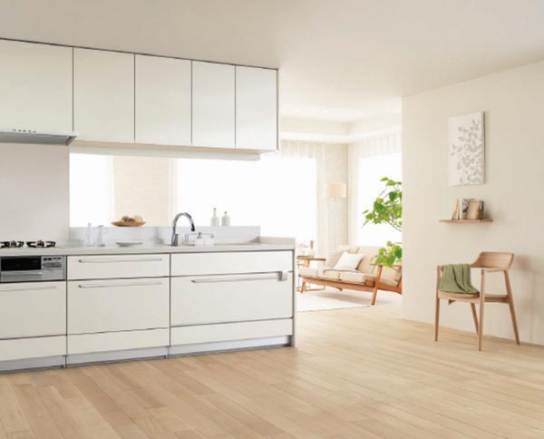 Same specifications photo (kitchen). Peace of mind in town