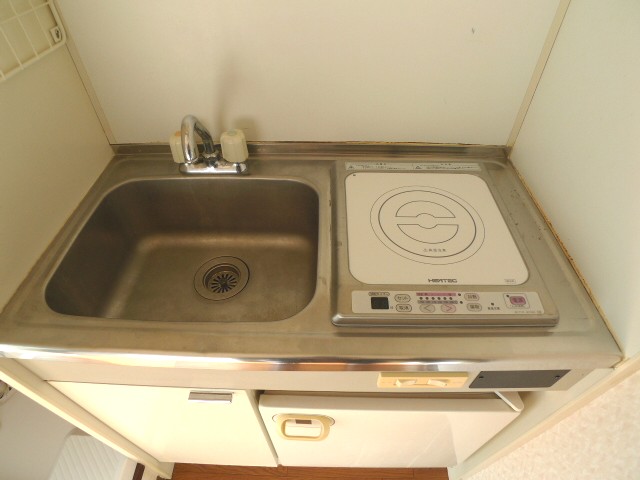 Kitchen. Popular IH hob