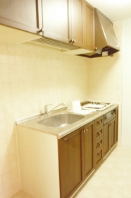 Kitchen. System kitchen