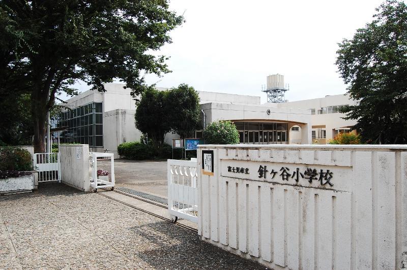 Primary school. Hariketani 300m up to elementary school