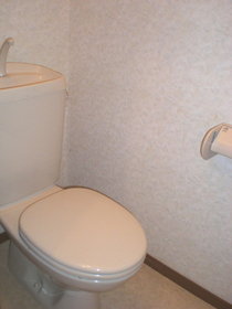 Toilet. It is a toilet with a clean