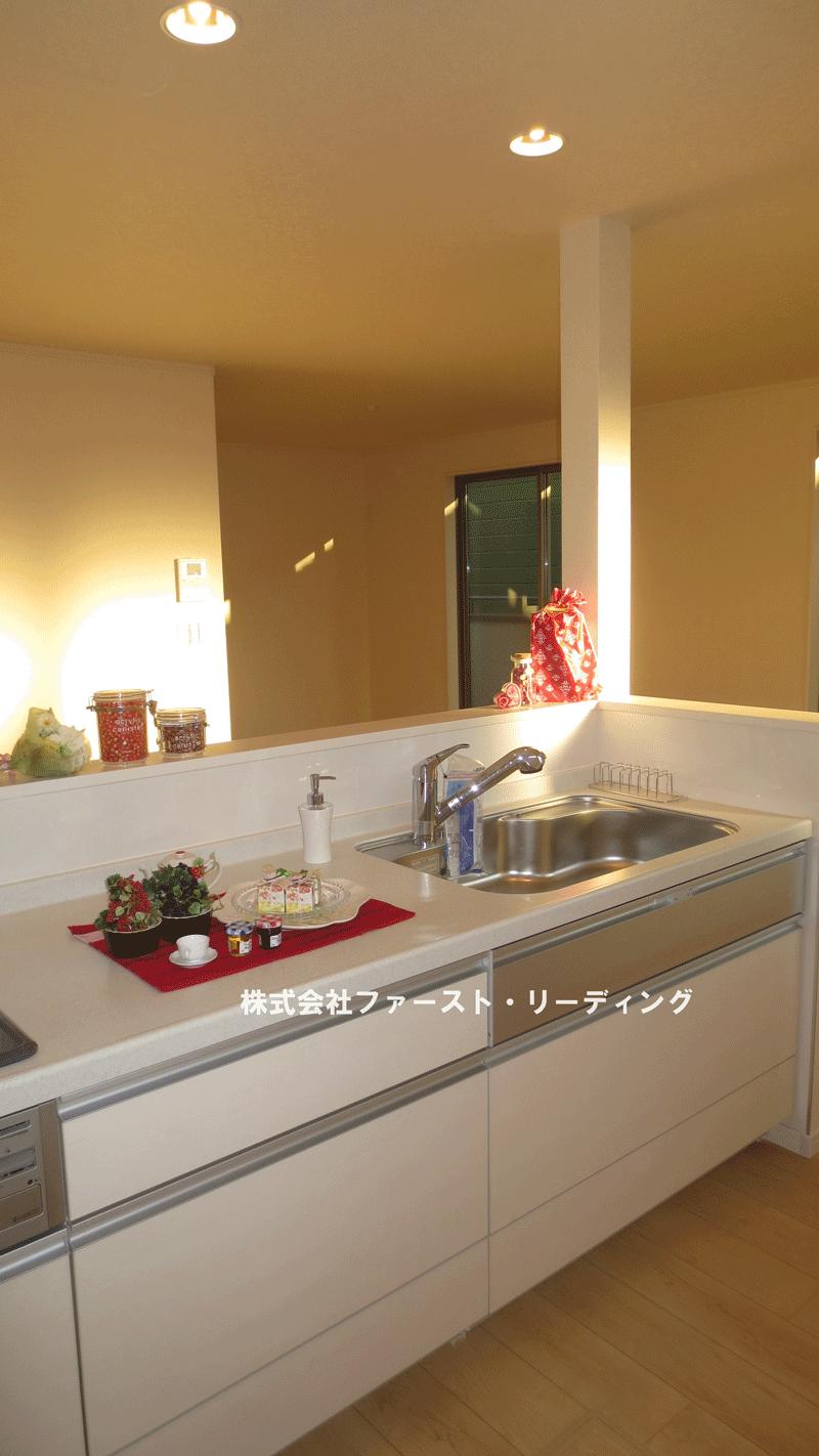 Kitchen. Luxury kitchen Because with water purifier can clean production around the sink! (December 14, 2013) Shooting