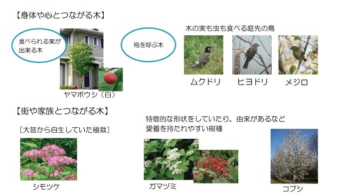 Garden. Subdivision of planting the "connection" is the theme. Connection of body and mind, We arranged a characteristic trees was to cherish the ties with the city and the family. 