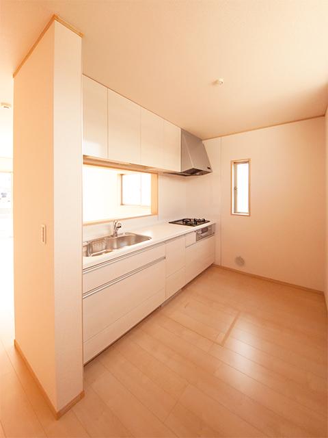 Kitchen. Indoor (September 2013) Shooting