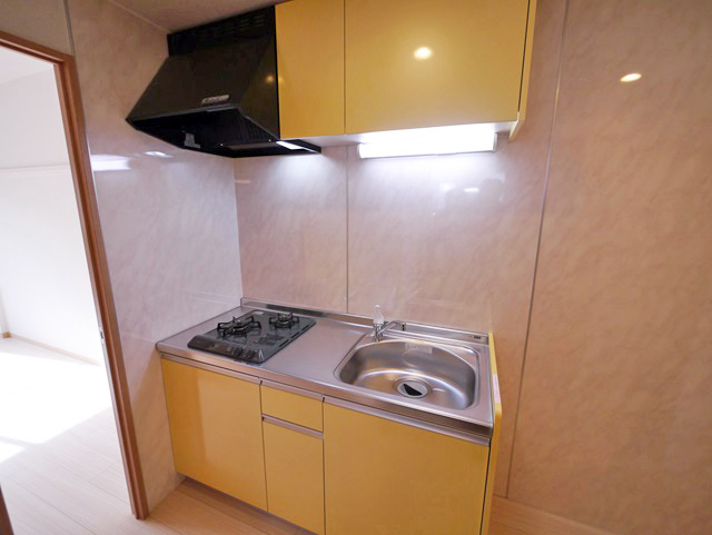 Kitchen. 2 lot gas stoves!