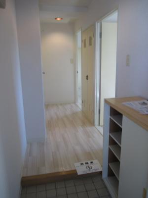 Entrance. There are shoes BOX. 