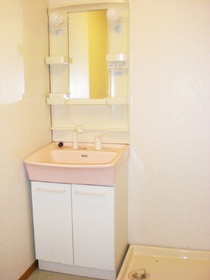 Washroom. Bathroom Vanity