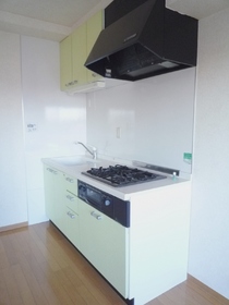 Kitchen. System kitchen